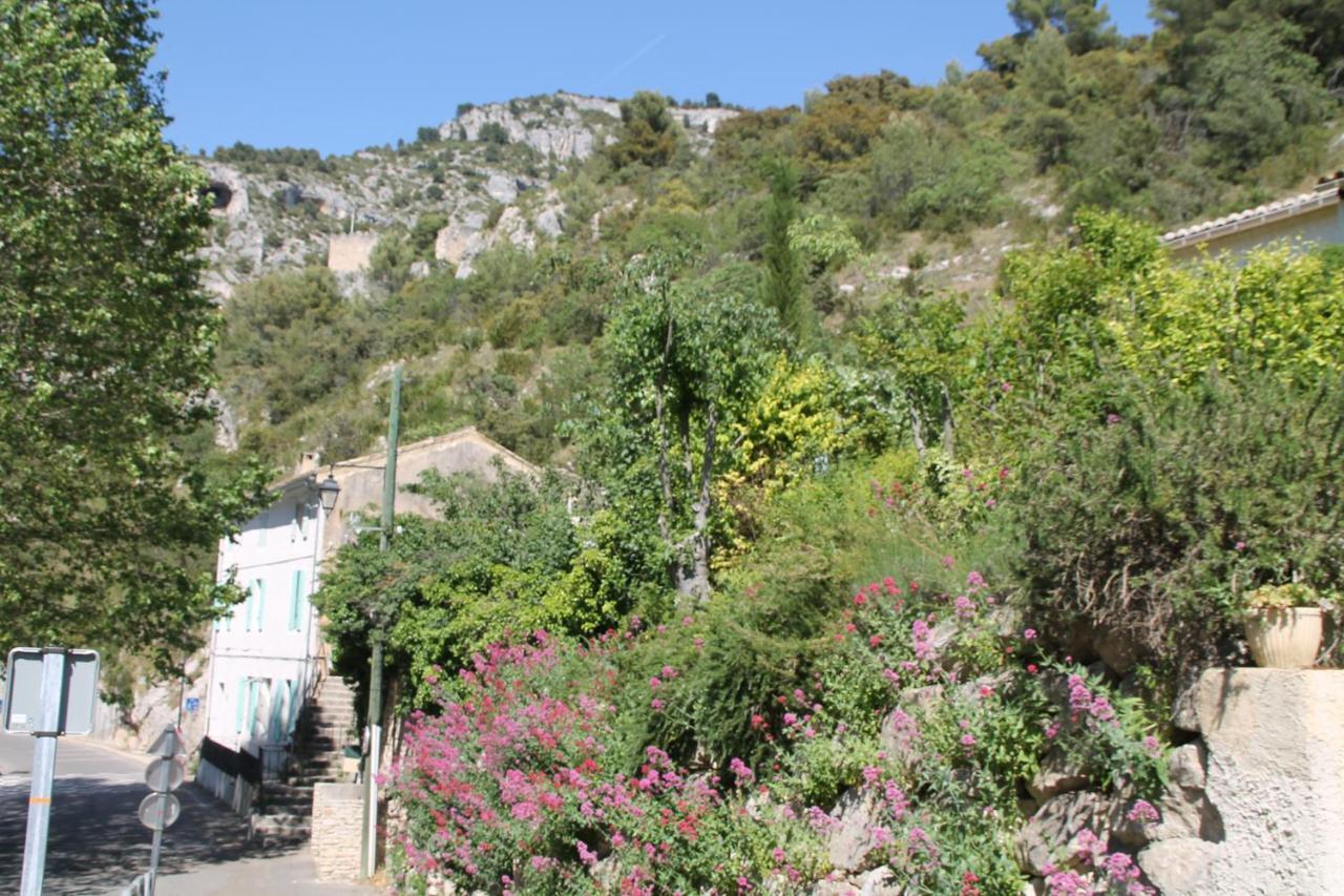 Au Bonheur De Lili Appartement Fontaine-de-Vaucluse Buitenkant foto